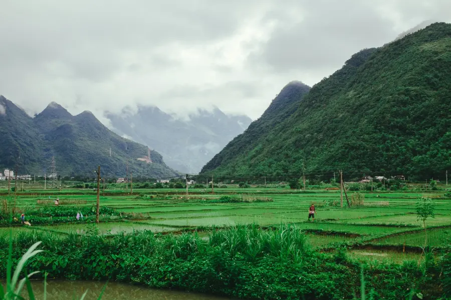 Bioeconomia, ecco quanto conta per la ripresa