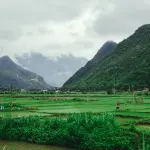 Bioeconomia, ecco quanto conta per la ripresa