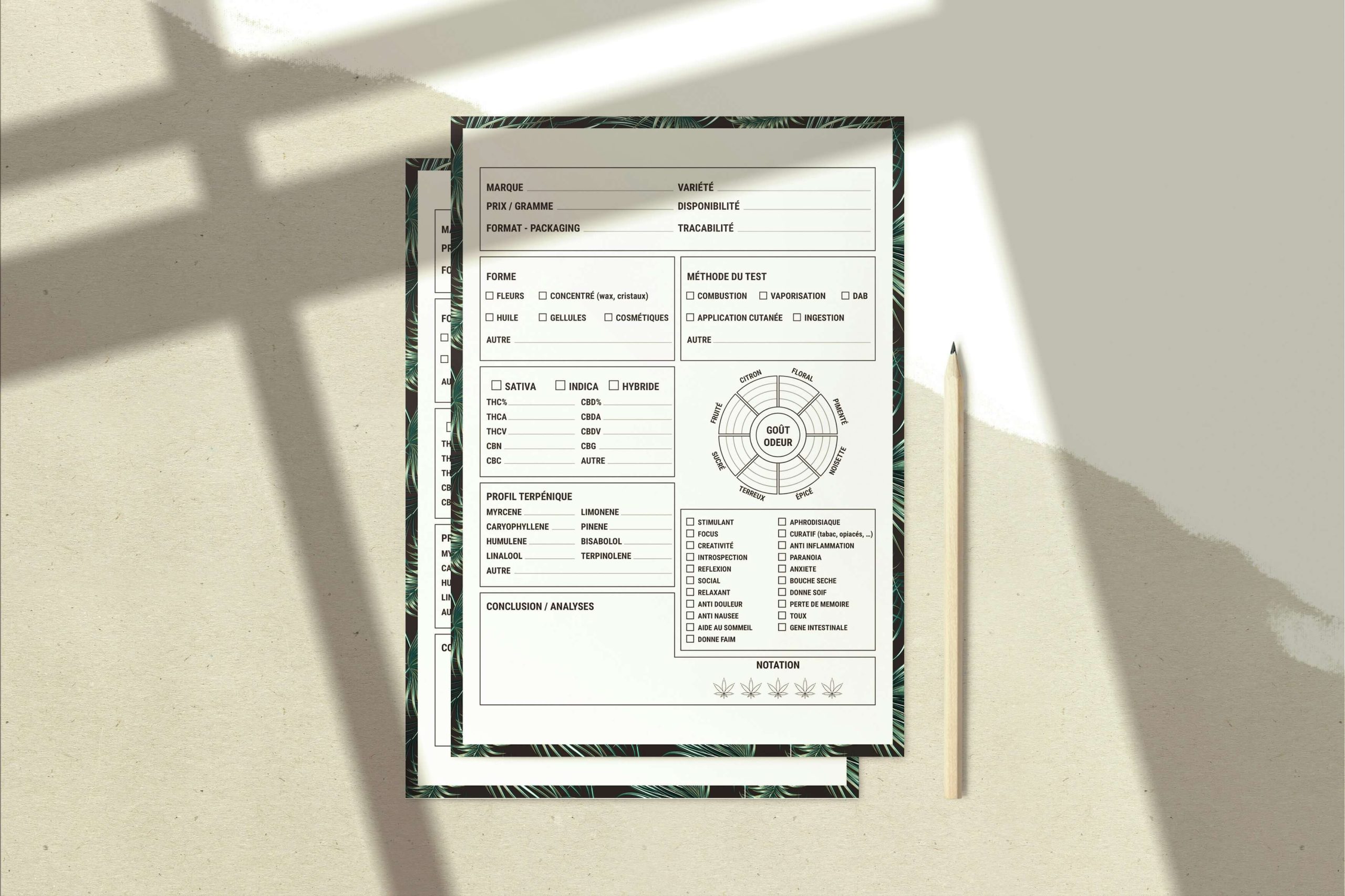 Libretto Famiglia: da oggi sarà il nuovo sistema per pagare colf e badanti