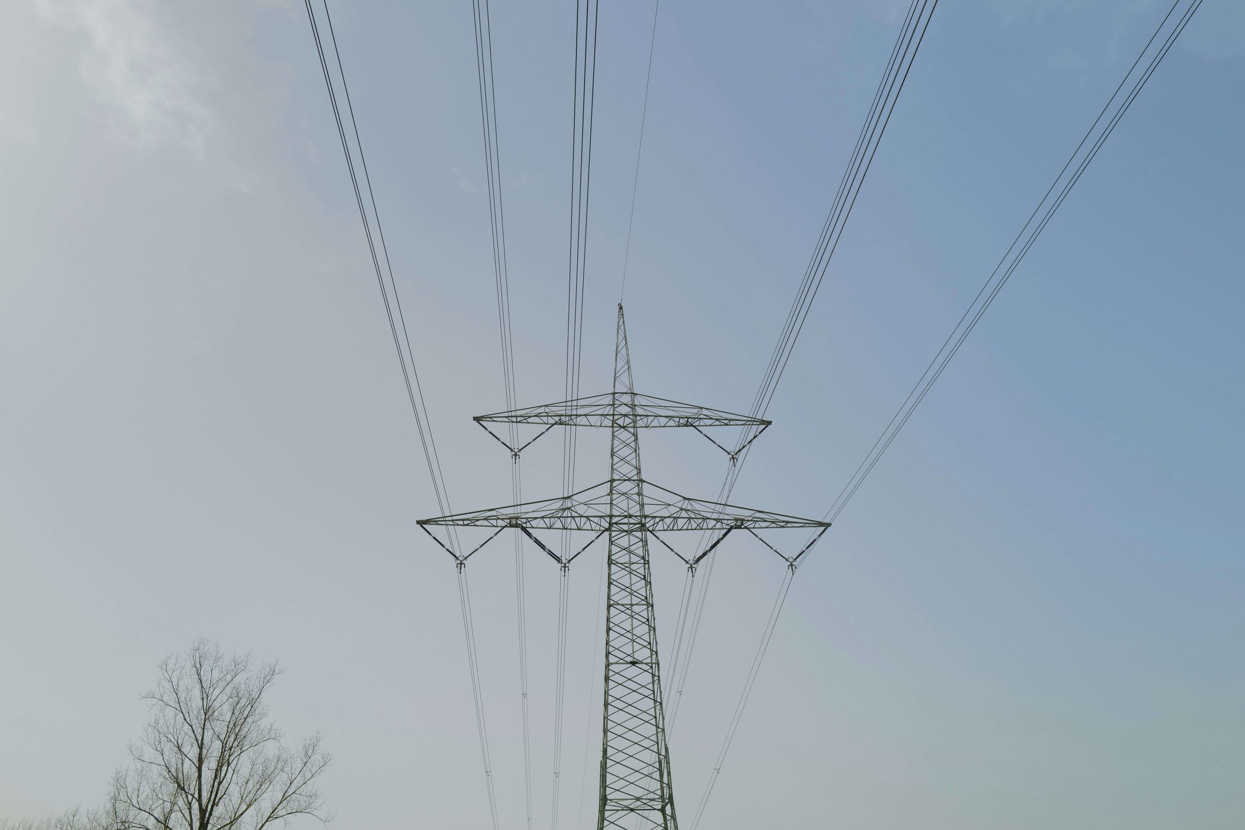 Annunciato l'aumento della bolletta della luce, il Codacons denuncia: 'E' una speculazione'