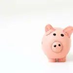 Aumento dei prezzi dopo la guerra russa, ecco cosa succederà